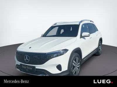 EQB 250+ ELECTRIC ART+DISTRONIC+RÜCKFK+LENKRHZ
